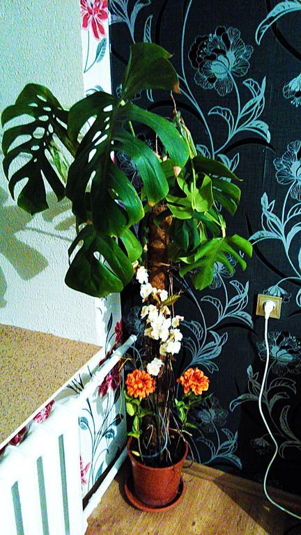 Picturesque Apartment Into Antique Fortress Daugavpils Cameră foto